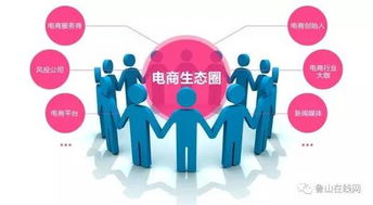 关于在全县范围内开展电子商务发展情况调查摸底的通知